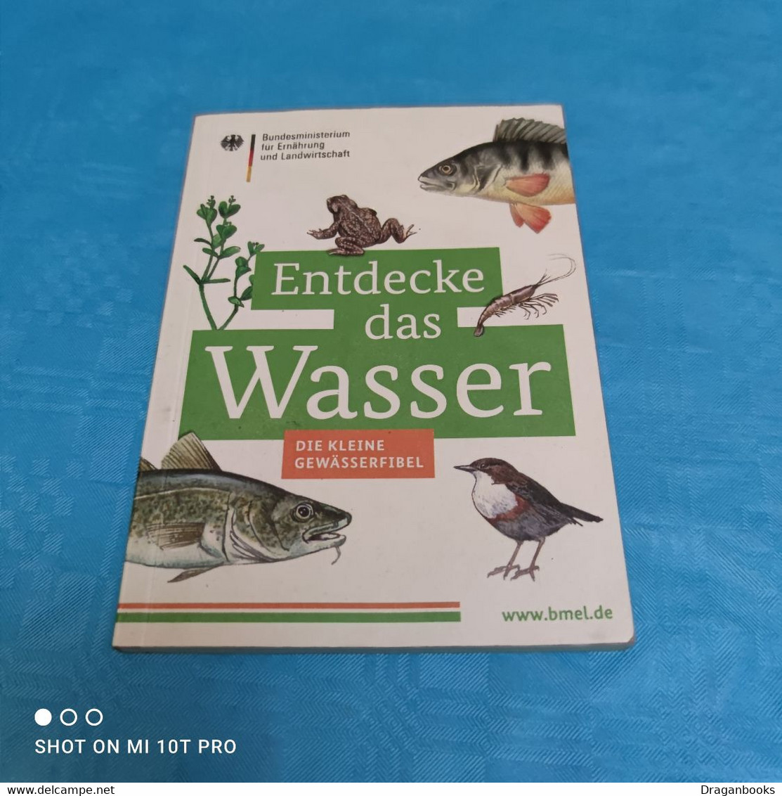 Entdecke Das Wasser - Animals