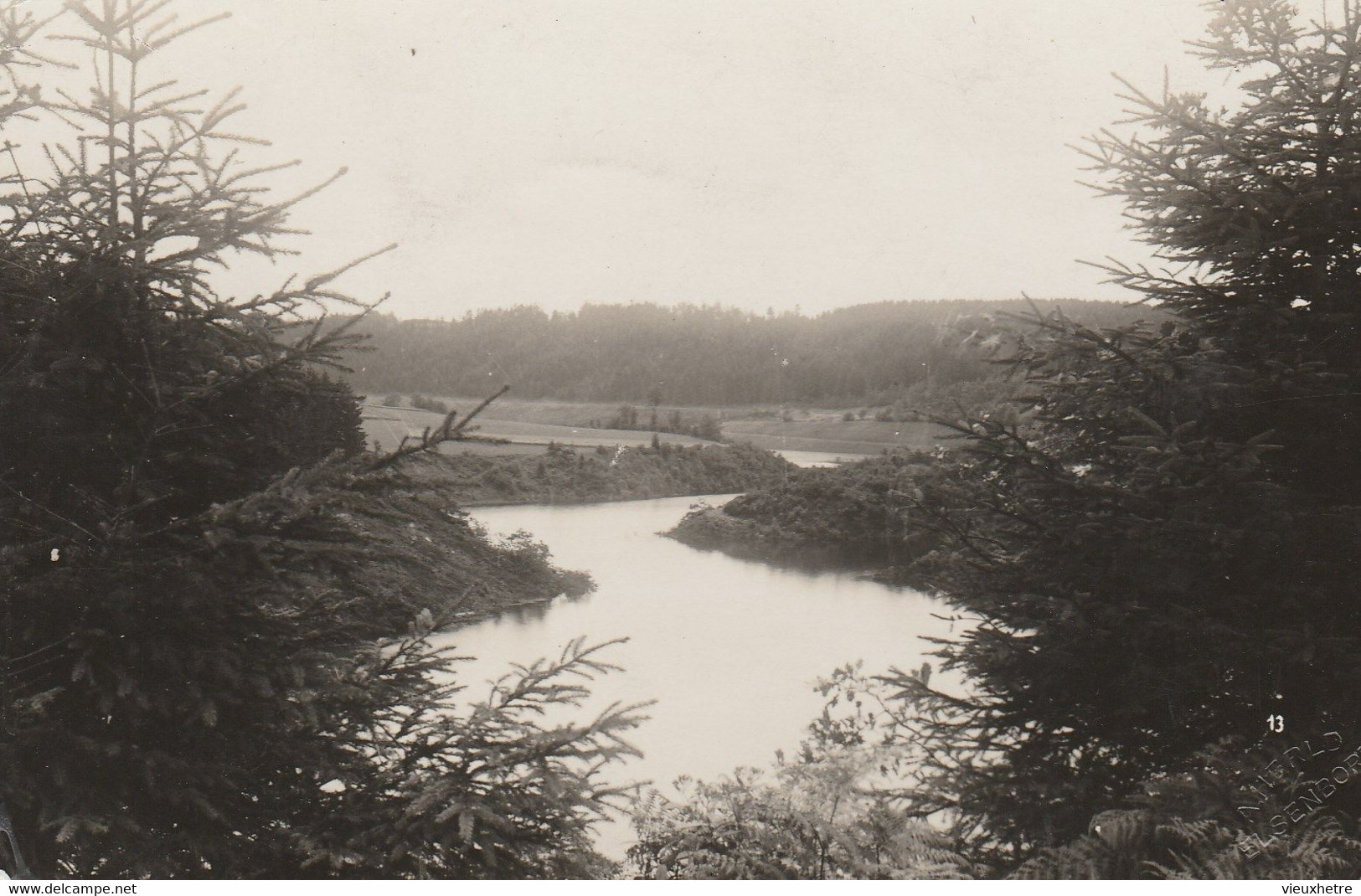 WAIMES - ROBERTVILLE  PHOTO CARTE PONT HAELEN - Weismes