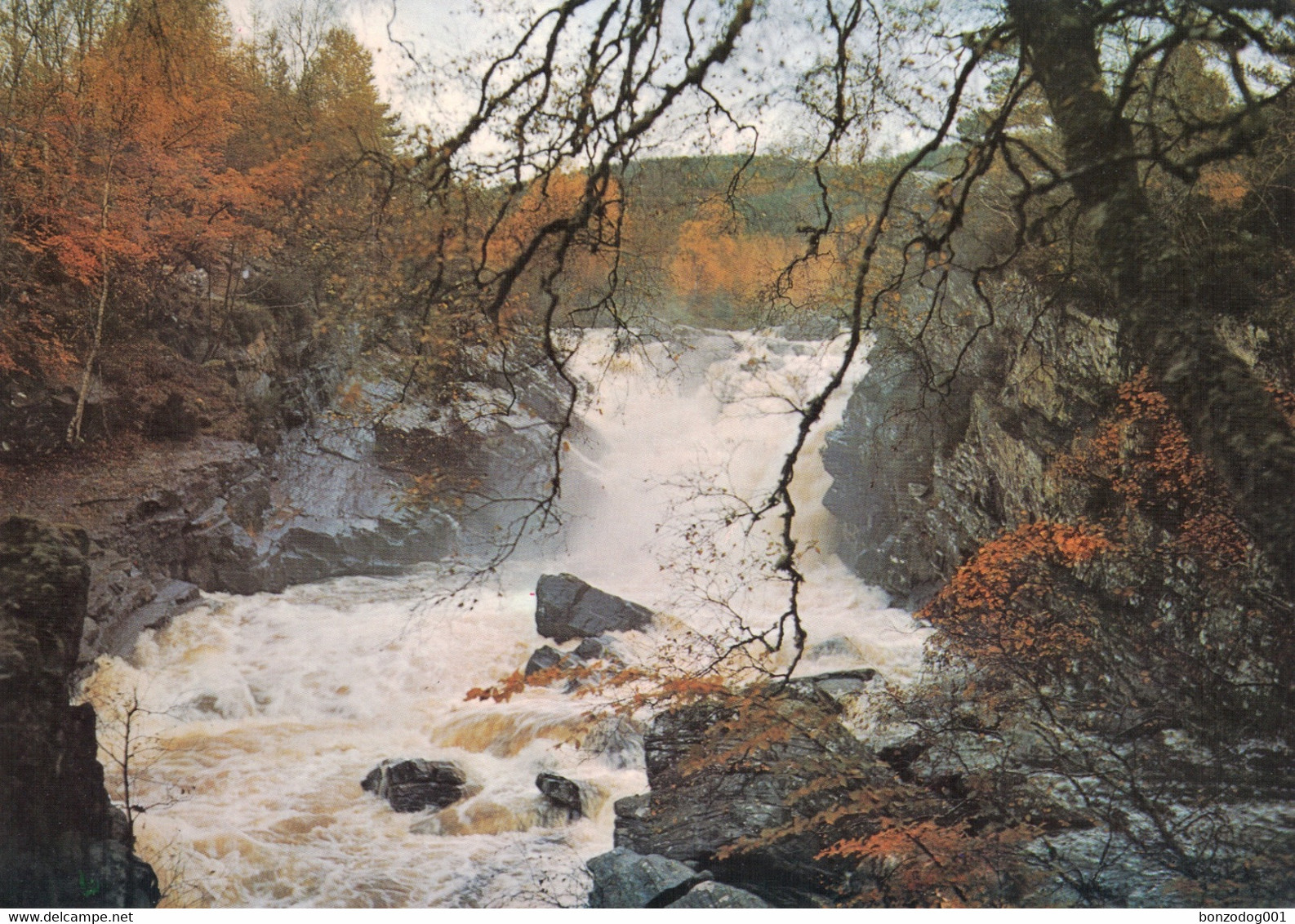 Falls Of Rogie, Ross-shire, Scotland - Ross & Cromarty