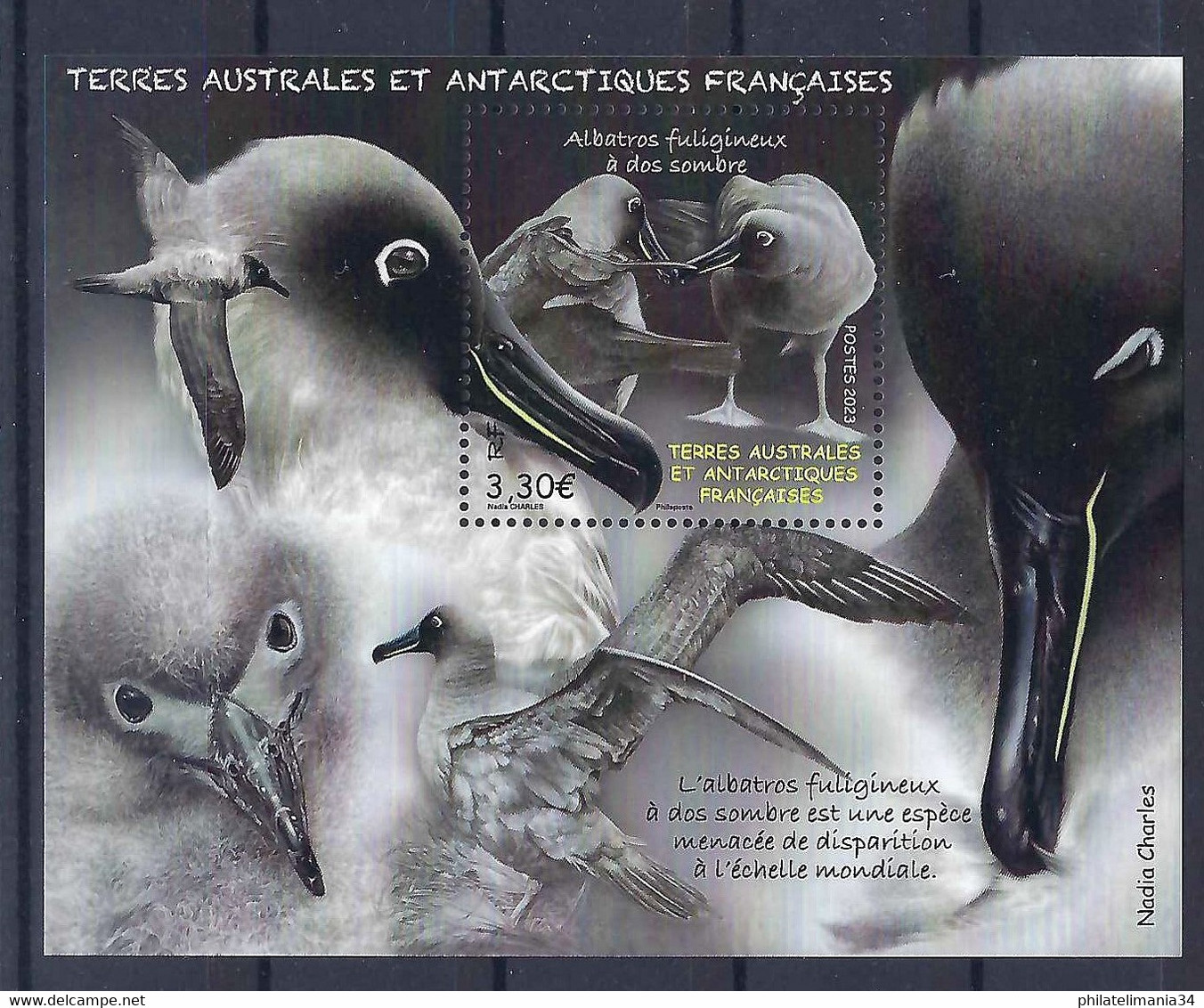 TAAF 2023 - Bloc Albatros Fuligineux à Dos Sombre - Hojas Bloque