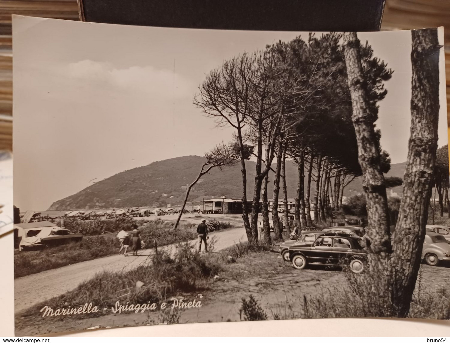 Cartolina   Marinella E Marina Di Carrara, Provincia Massa Carrara,spiaggia E Pineta 1961, Auto Fiat 1100 - Carrara