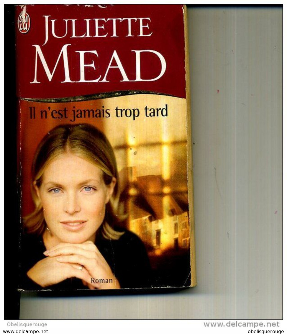 JULIETTE MEAD IL N EST JAMAIS TROP TARD 2002 411 PAGES - J'ai Lu