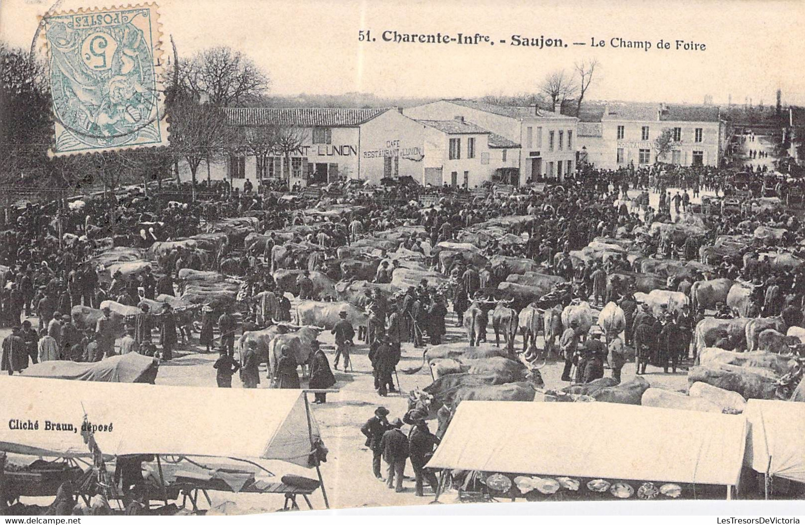 France - Charente Infre - Saujon - Le Champ De Foire - Cliché Braun - Animé - Vache -  Carte Postale Ancienne - Saujon