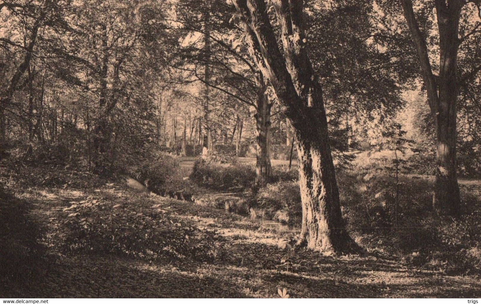 Annavoie (Parc) - Le Ruisseau - Anhée