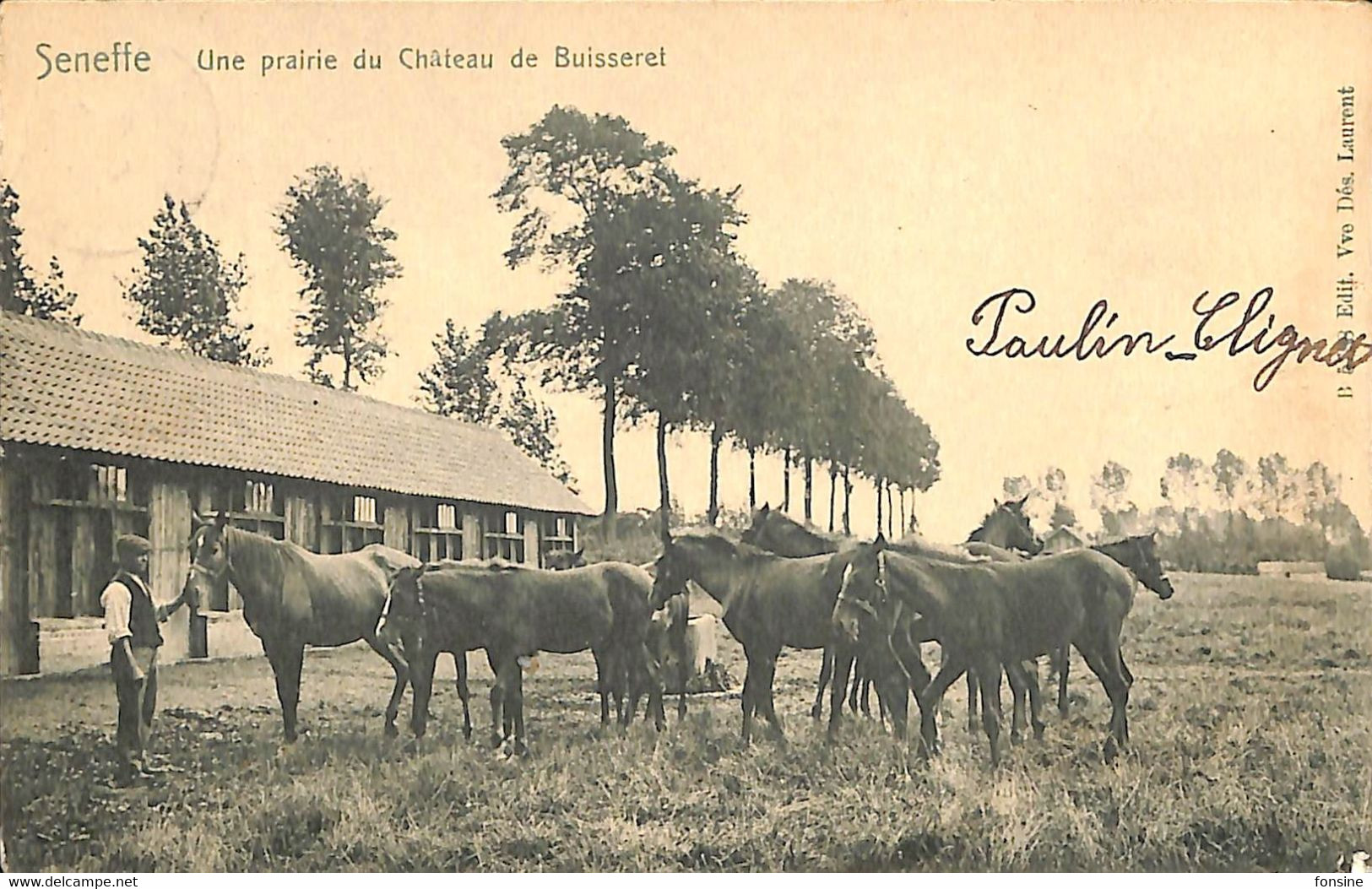 Seneffe - Prairie Du Château De Buisseret - Seneffe