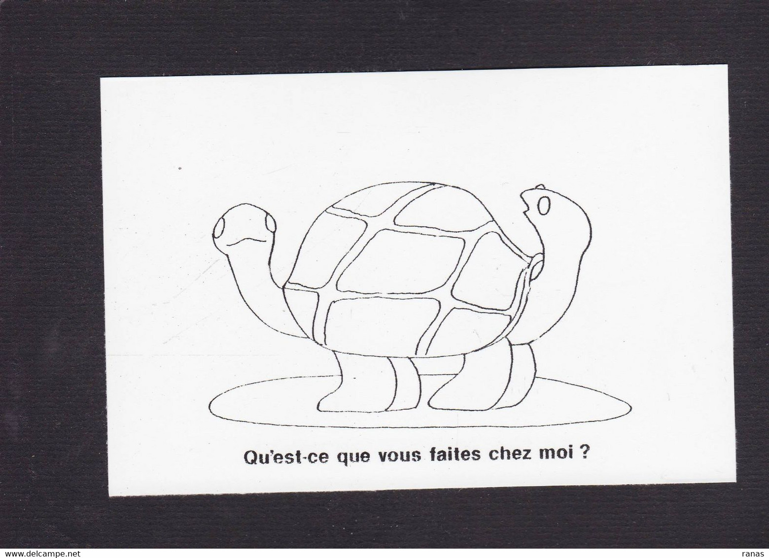 CPM Tortue Turtle Humour Humor Non Circulé - Schildpadden