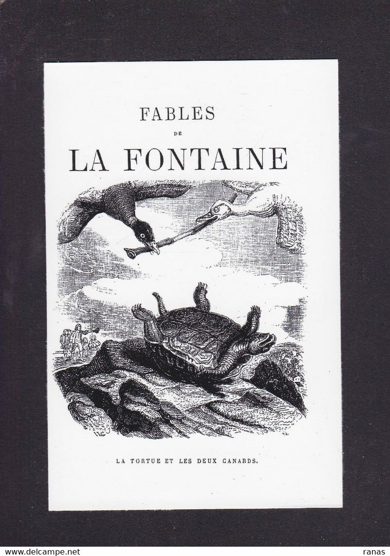 CPM Tortue Turtle Humour Humor Non Circulé Fables De La Fontaine - Tortugas