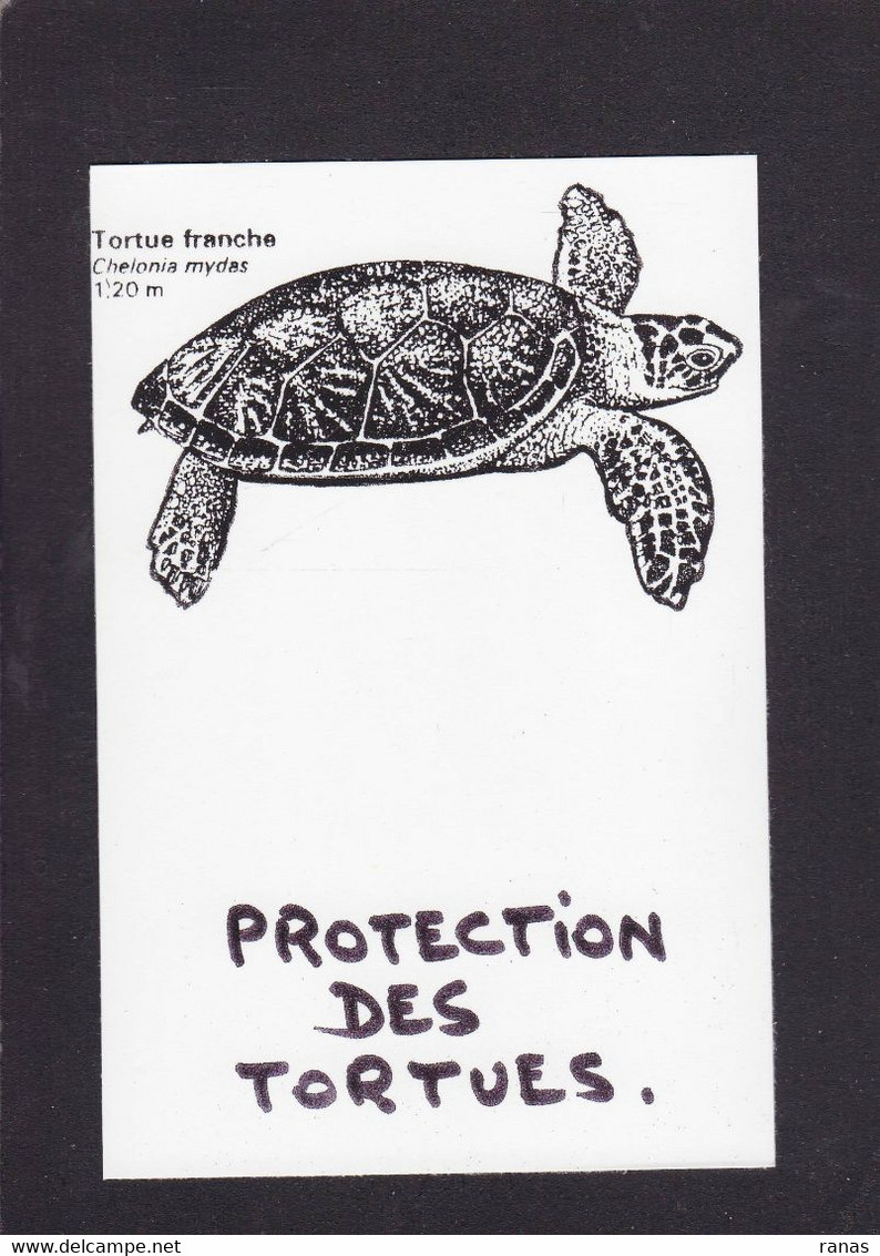 CPM Tortue Turtle Protection Animale Non Circulé - Schildkröten