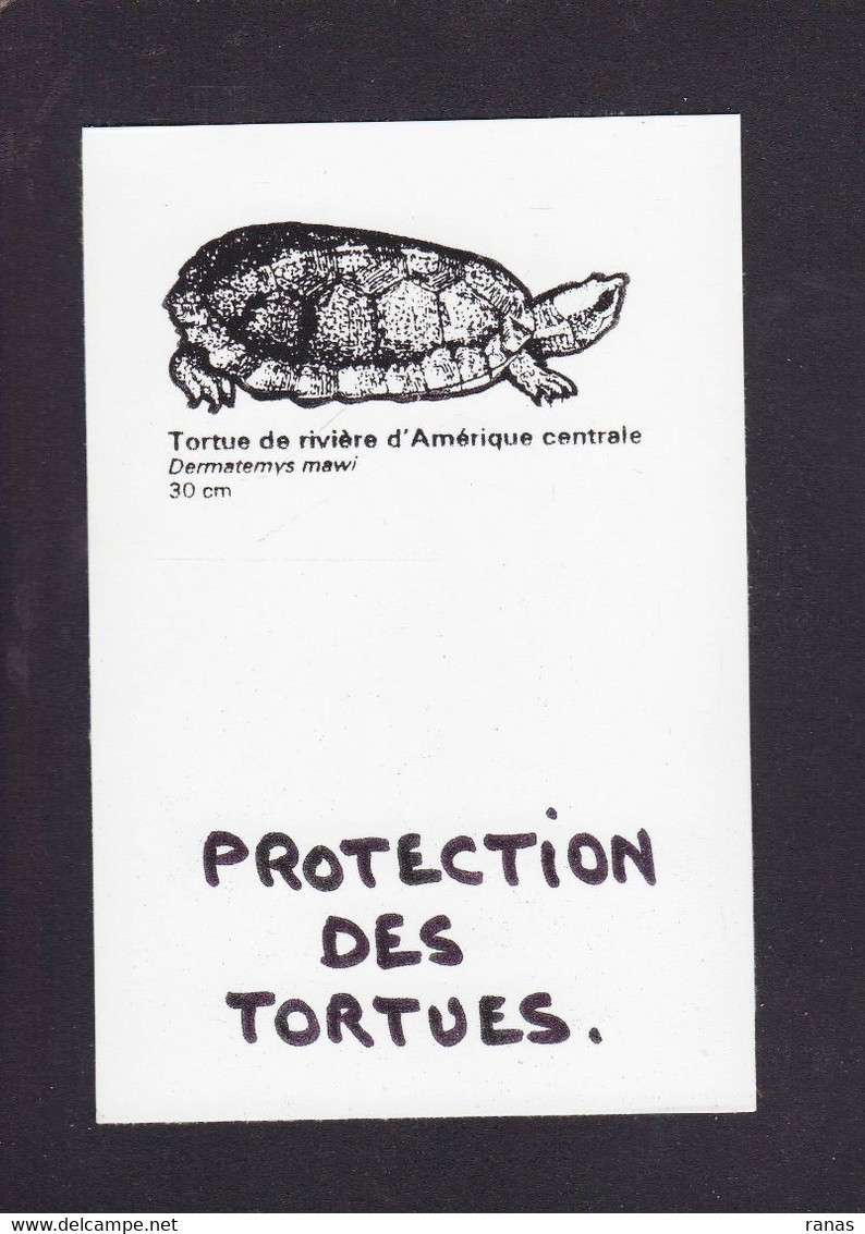 CPM Tortue Turtle Protection Animale Non Circulé - Schildkröten