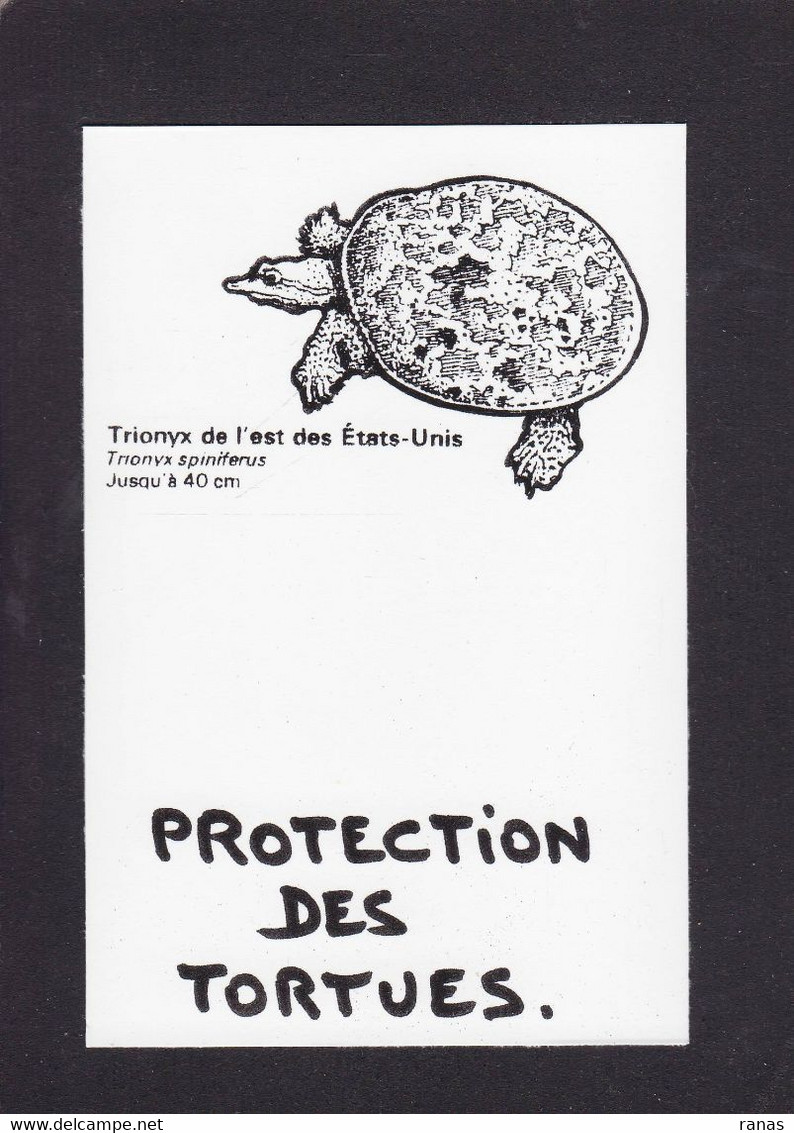 CPM Tortue Turtle Protection Animale Non Circulé - Tortues