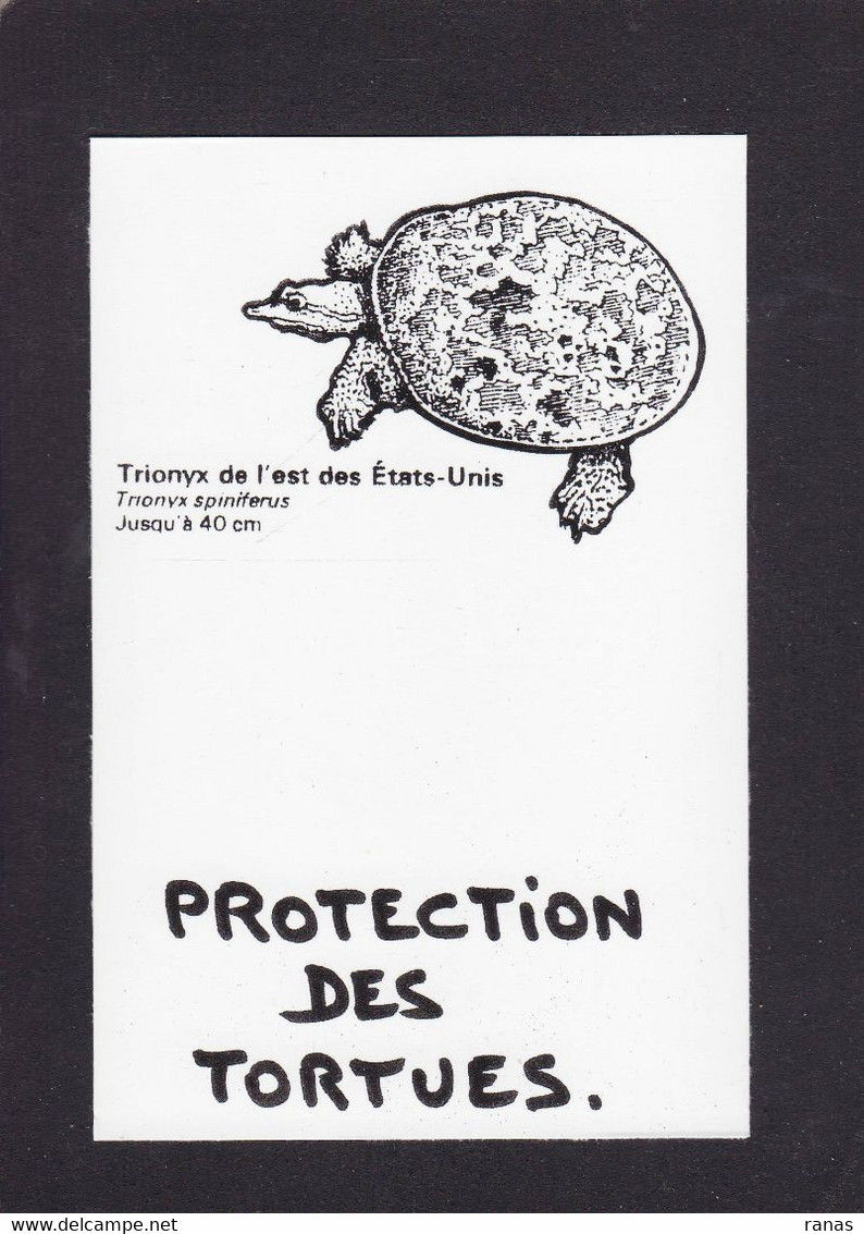 CPM Tortue Turtle Protection Animale Non Circulé - Turtles