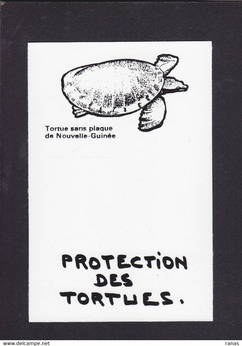 CPM Tortue Turtle Protection Animale Non Circulé - Tartarughe