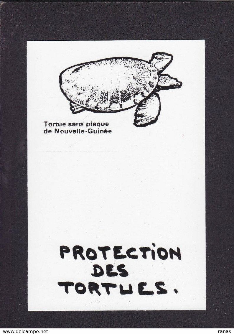 CPM Tortue Turtle Protection Animale Non Circulé - Turtles