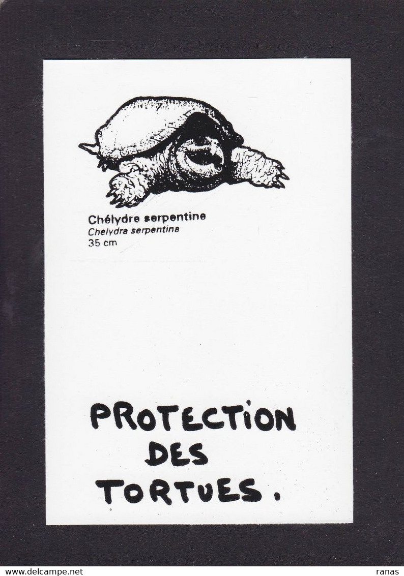 CPM Tortue Turtle Protection Animale Non Circulé - Schildkröten