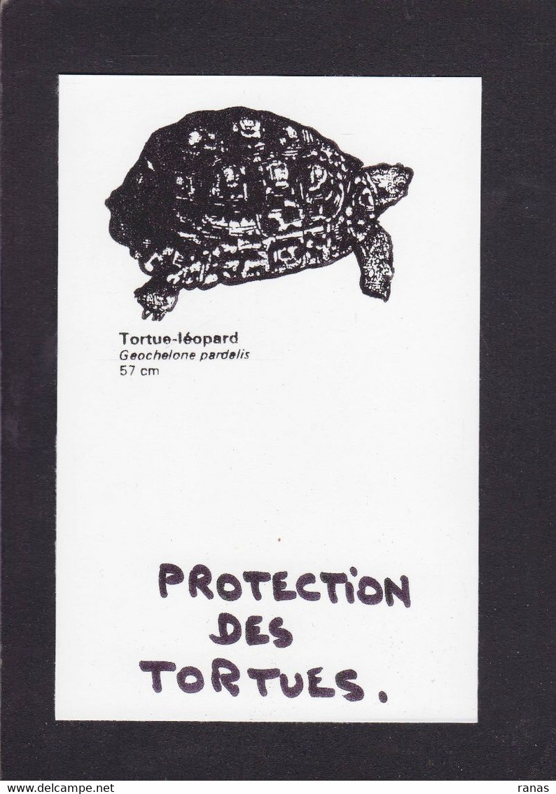 CPM Tortue Turtle Protection Animale Non Circulé - Tartarughe