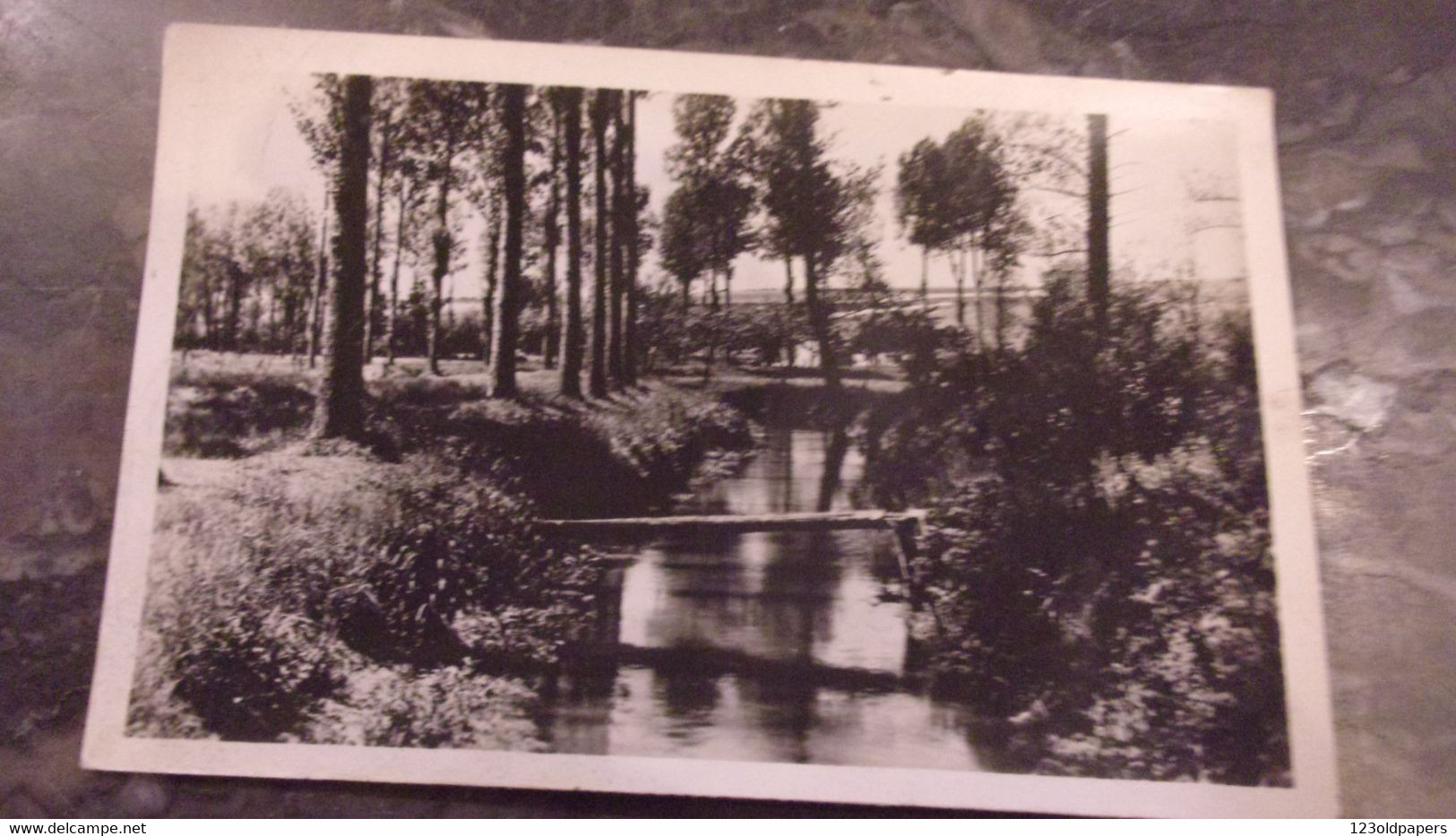 80 AIRAINES  LA RIVIERE UN COIN PITTORESQUE 1951 - Autres & Non Classés