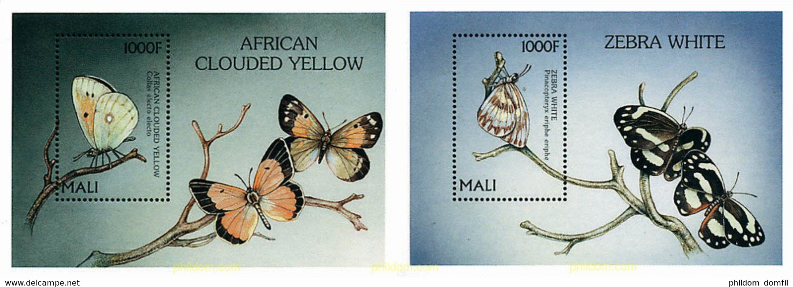 592937 MNH MALI 1997 FAUNA-MARIPOSAS - Araignées