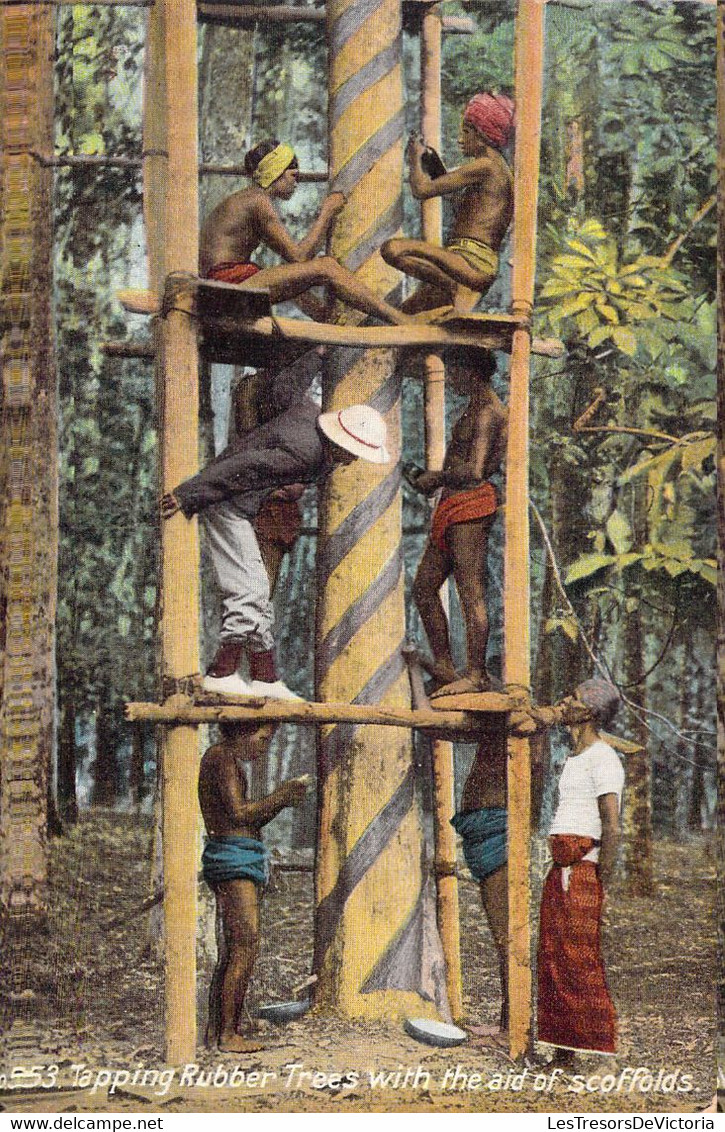 SRI LANKA - CEYLAN - Tapping Rubber Trees With The Aid Of Scoffolds - Cartes Postales Anciennes - Sri Lanka (Ceylon)