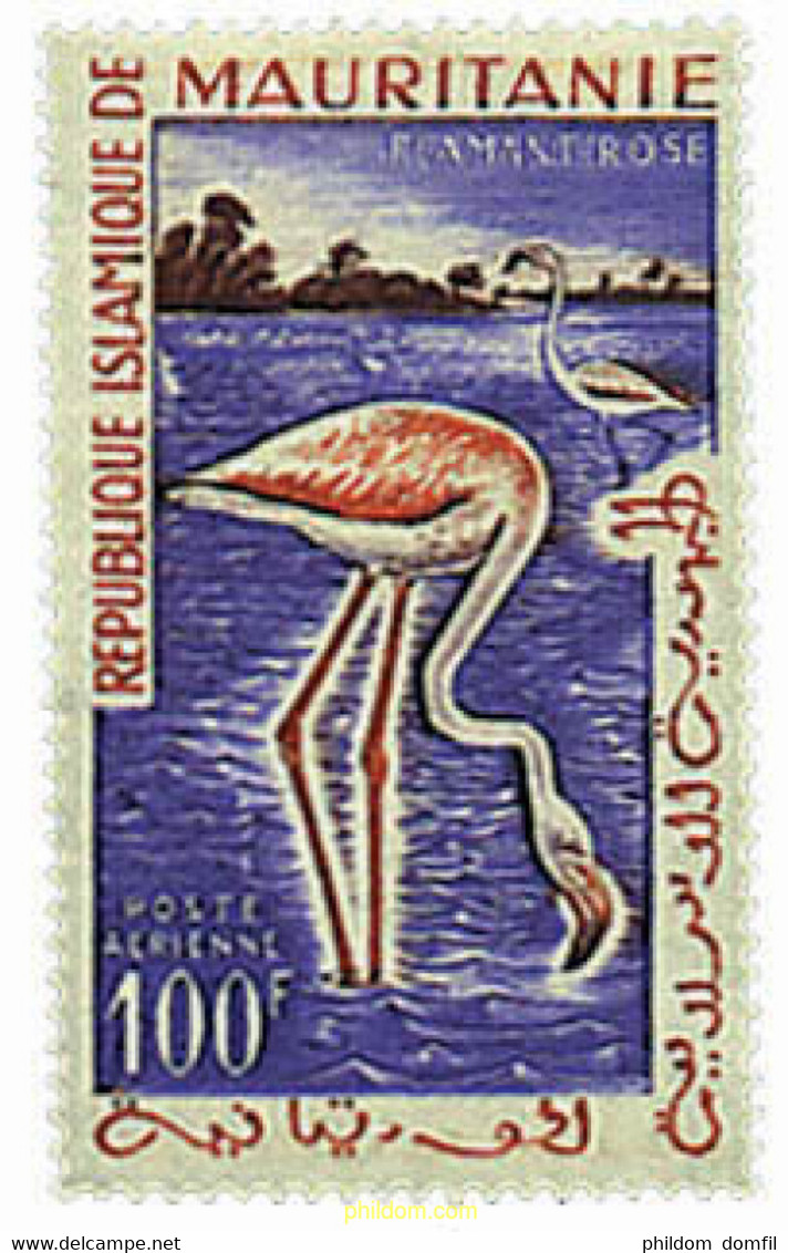 590544 MNH MAURITANIA 1961 AVES - Mauritanie (1960-...)