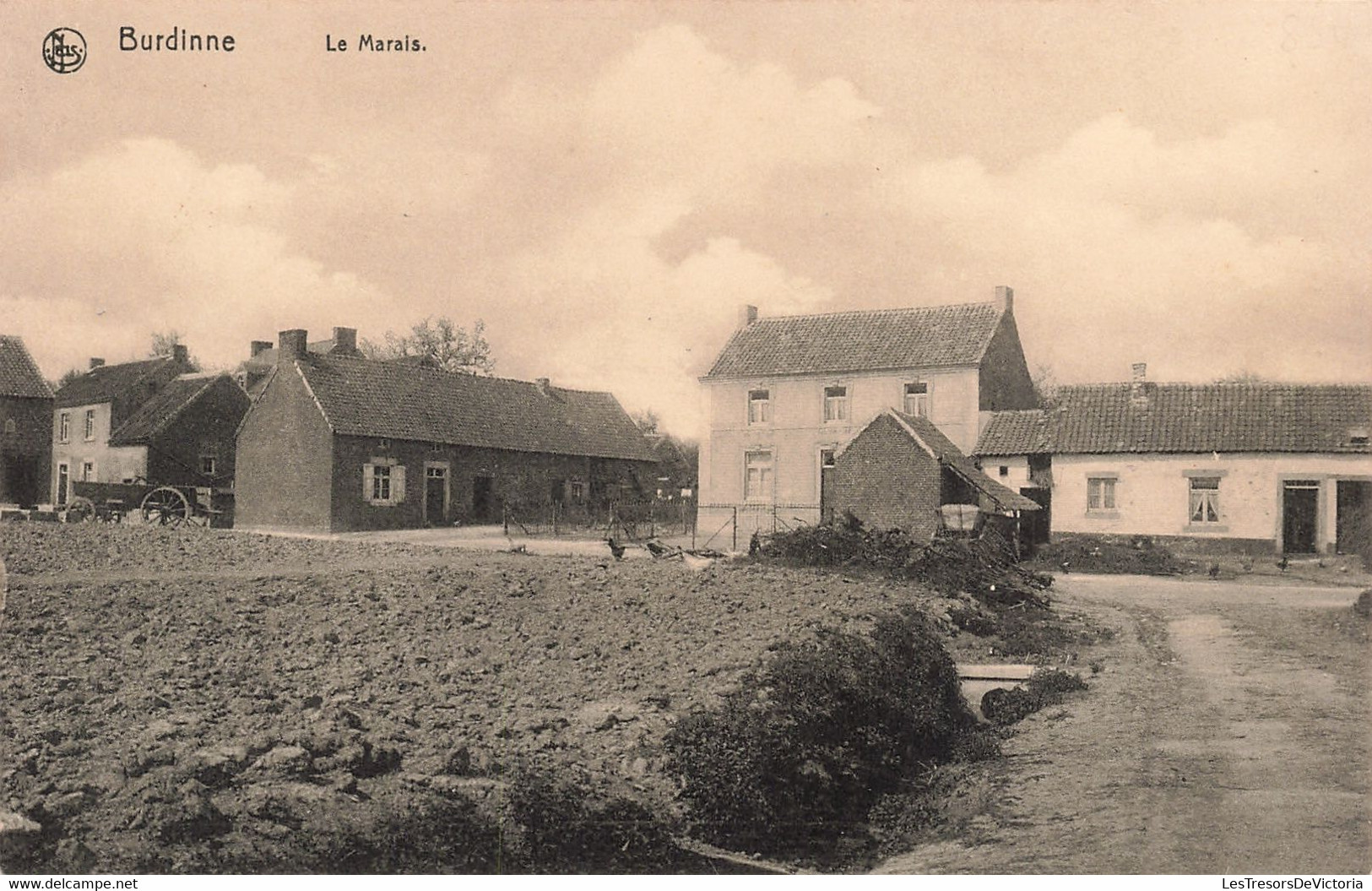 Belgique - Burdinne - Le Marais - Edit. Nels  - Carte Postale Ancienne - Burdinne