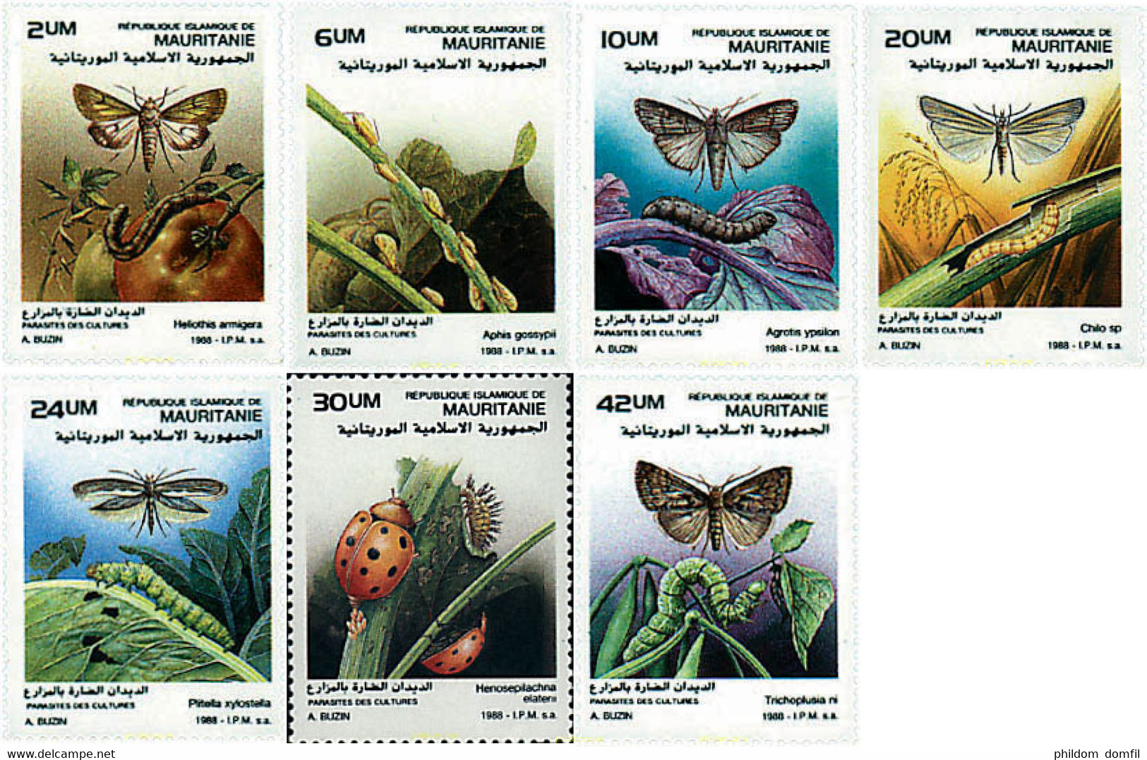 77893 MNH MAURITANIA 1988 INSECTOS - Mauritanie (1960-...)