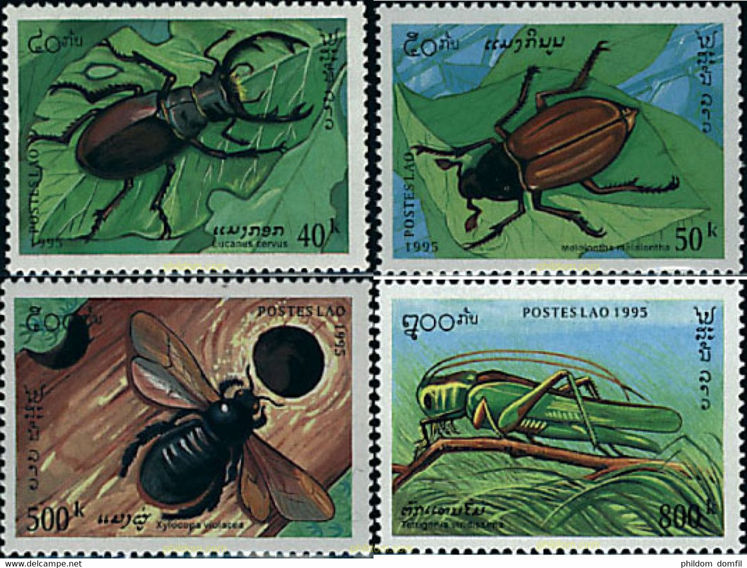 29393 MNH LAOS 1995 INSECTOS - Arañas