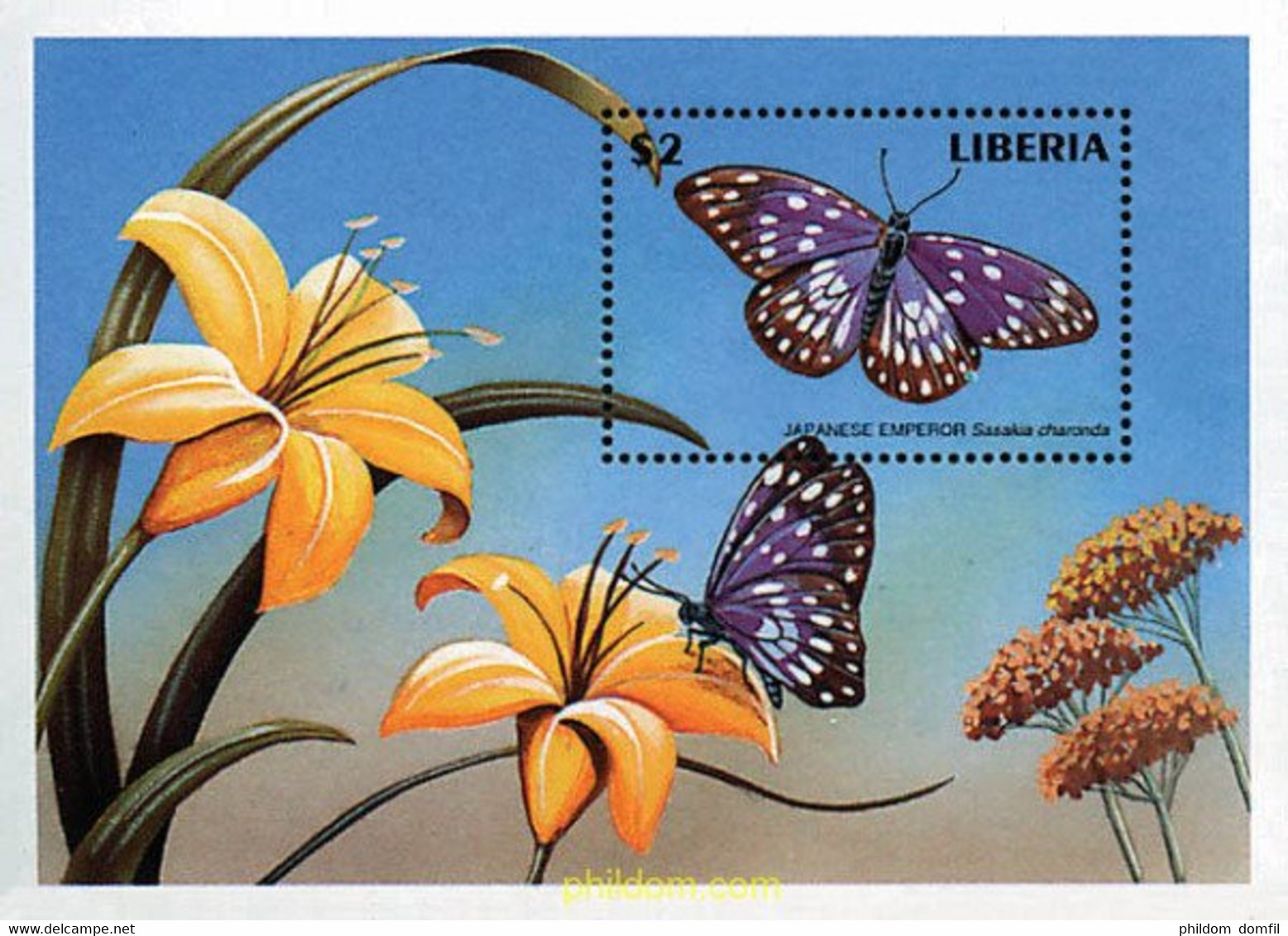 218579 MNH LIBERIA 1998 MARIPOSAS - Spinnen