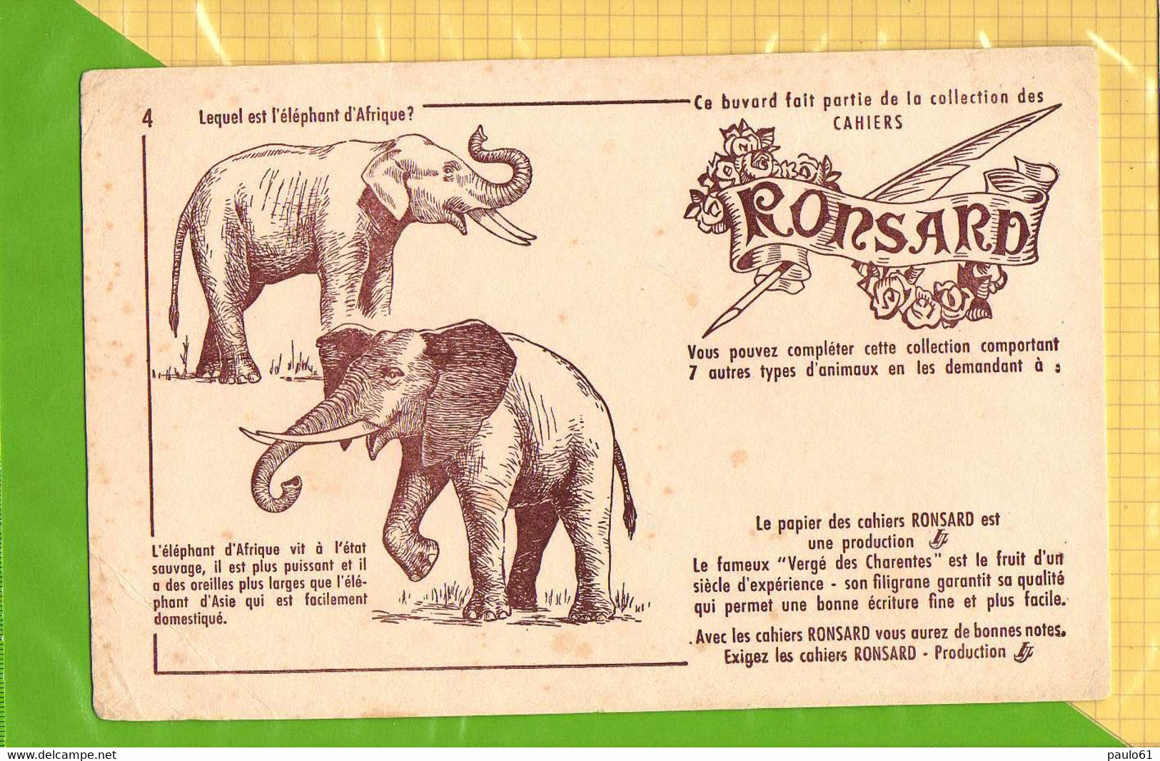 BUVARD  : Cahiers RONSARD  Lequel Est L'Elephant D'Afrique N°4 - Animaux