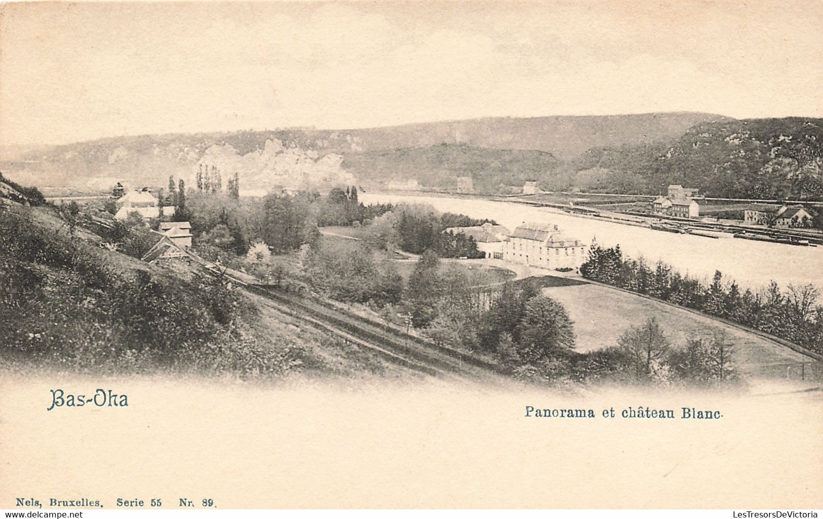 Belgique - Bas Oha - Panorama Et Château Blanc - Edit. Nels  - Carte Postale Ancienne - Huy