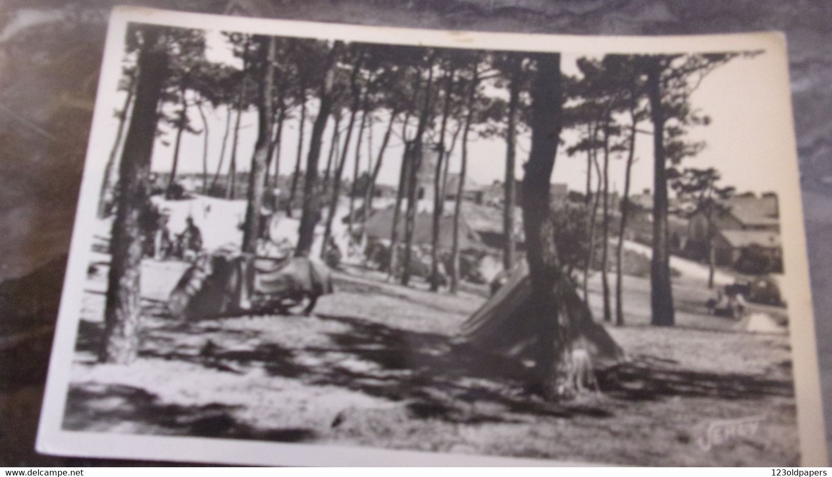 85 VENDEE LA TRANCHE SUR MER CAMPING EN FORET 1956 - La Tranche Sur Mer