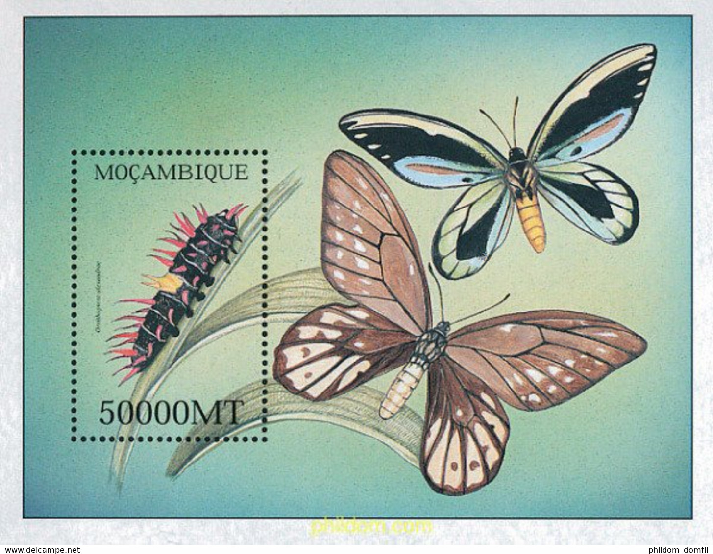 345931 MNH MOZAMBIQUE 2002 MARIPOSAS - Spiders