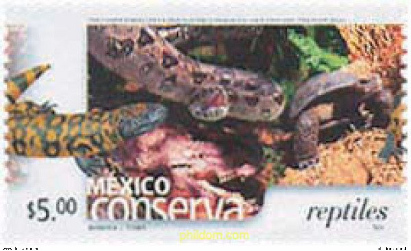627493 MNH MEXICO 2002 MEXICO CONSERVA - Spiders