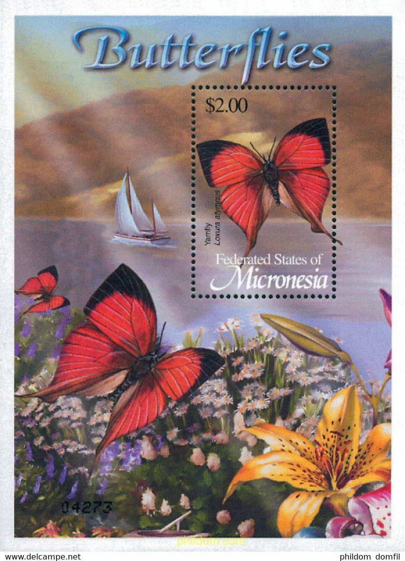 116255 MNH MICRONESIA 2002 MARIPOSAS - Arañas