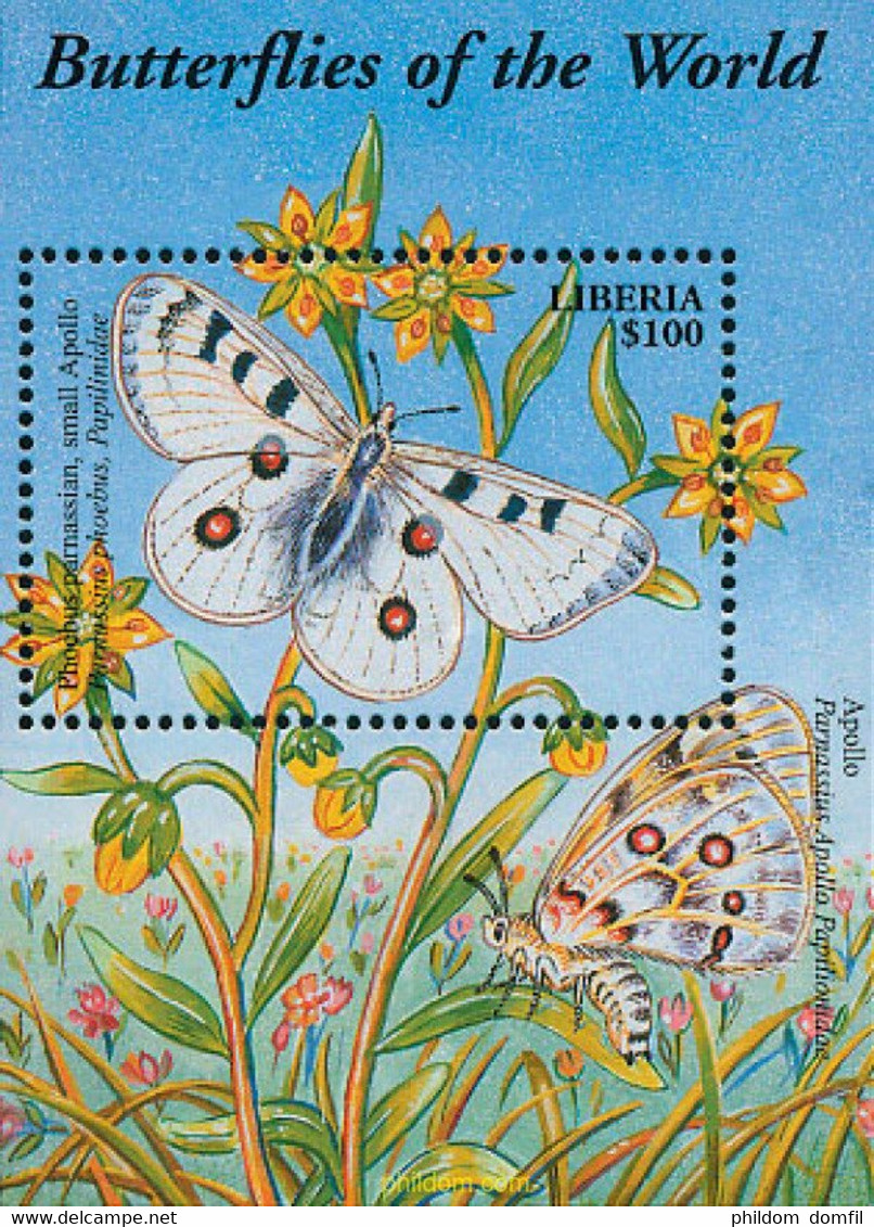 144931 MNH LIBERIA 2002 MARIPOSAS DEL MUNDO - Spiders