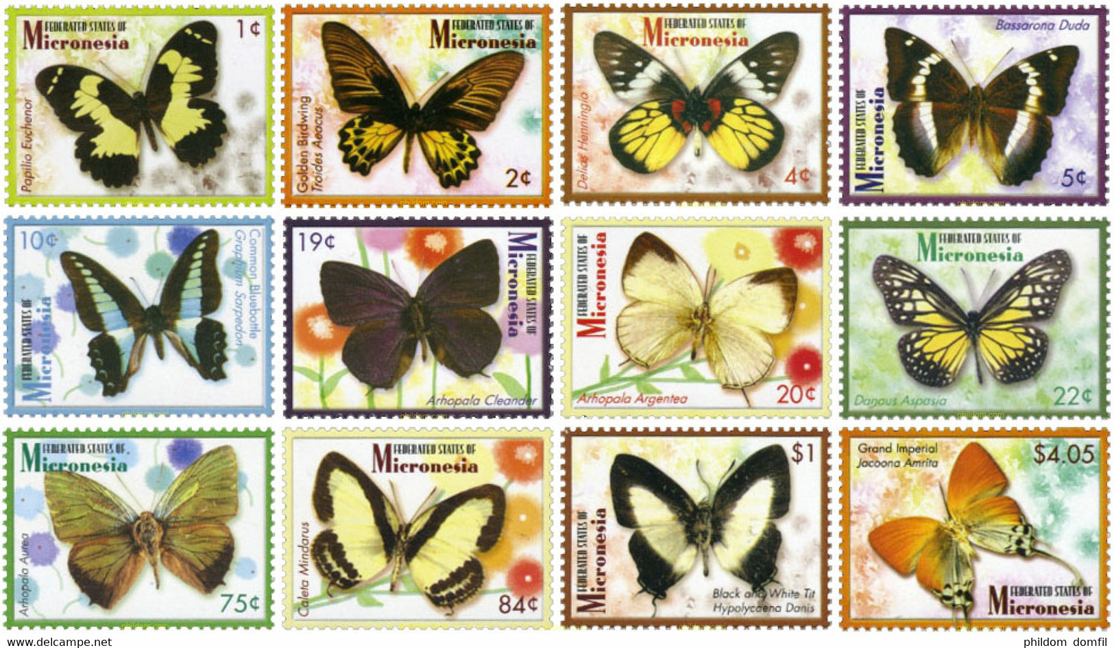 344361 MNH MICRONESIA 2006 MARIPOSAS - Spinnen