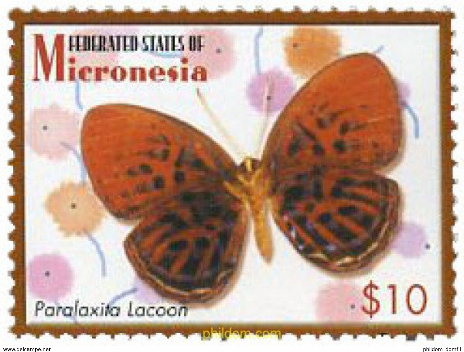 344362 MNH MICRONESIA 2006 MARIPOSAS - Arañas