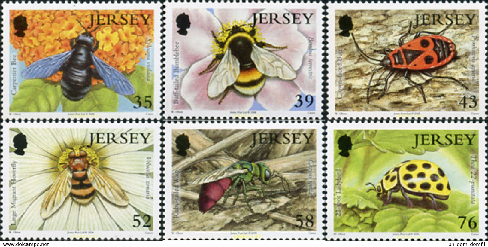 217800 MNH JERSEY 2008 INSECTOS - Spiders