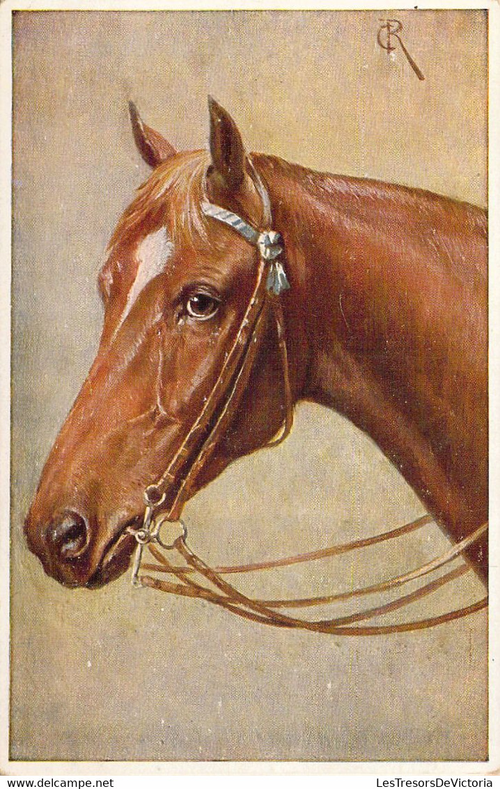 CHEVAUX - Cheval Robe Alezan - Carte Postale Ancienne - Pferde