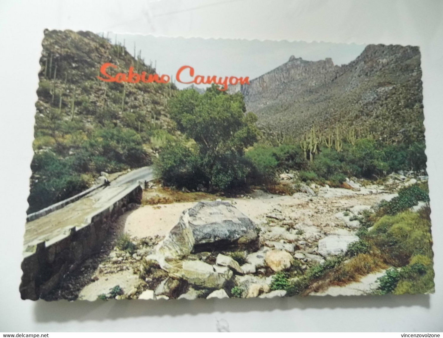 Cartolina "Sabino Canyon TUCSON" 1974 - Tucson