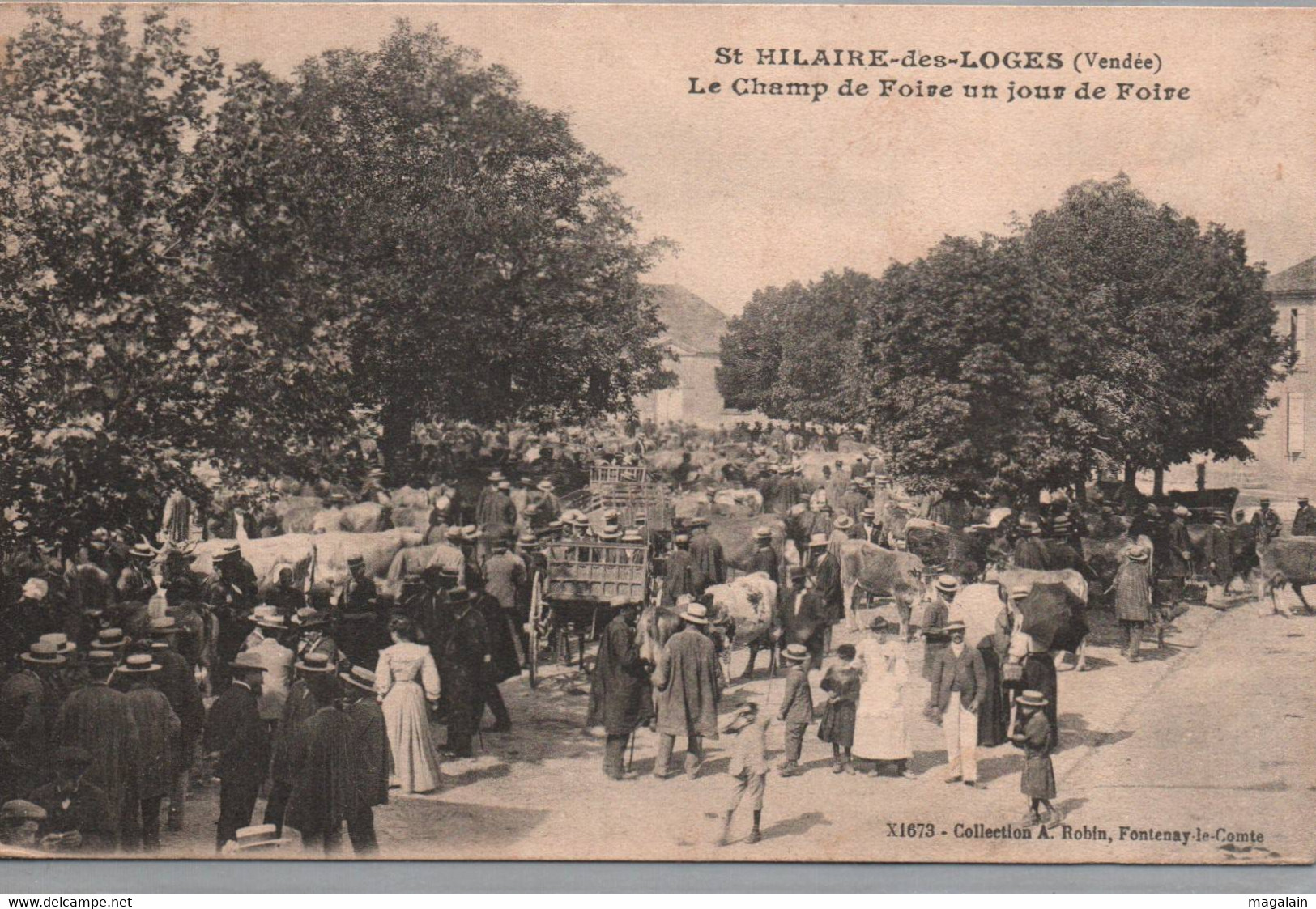 St Hilaire Des Loges : Le Champ De Foire - Saint Hilaire Des Loges