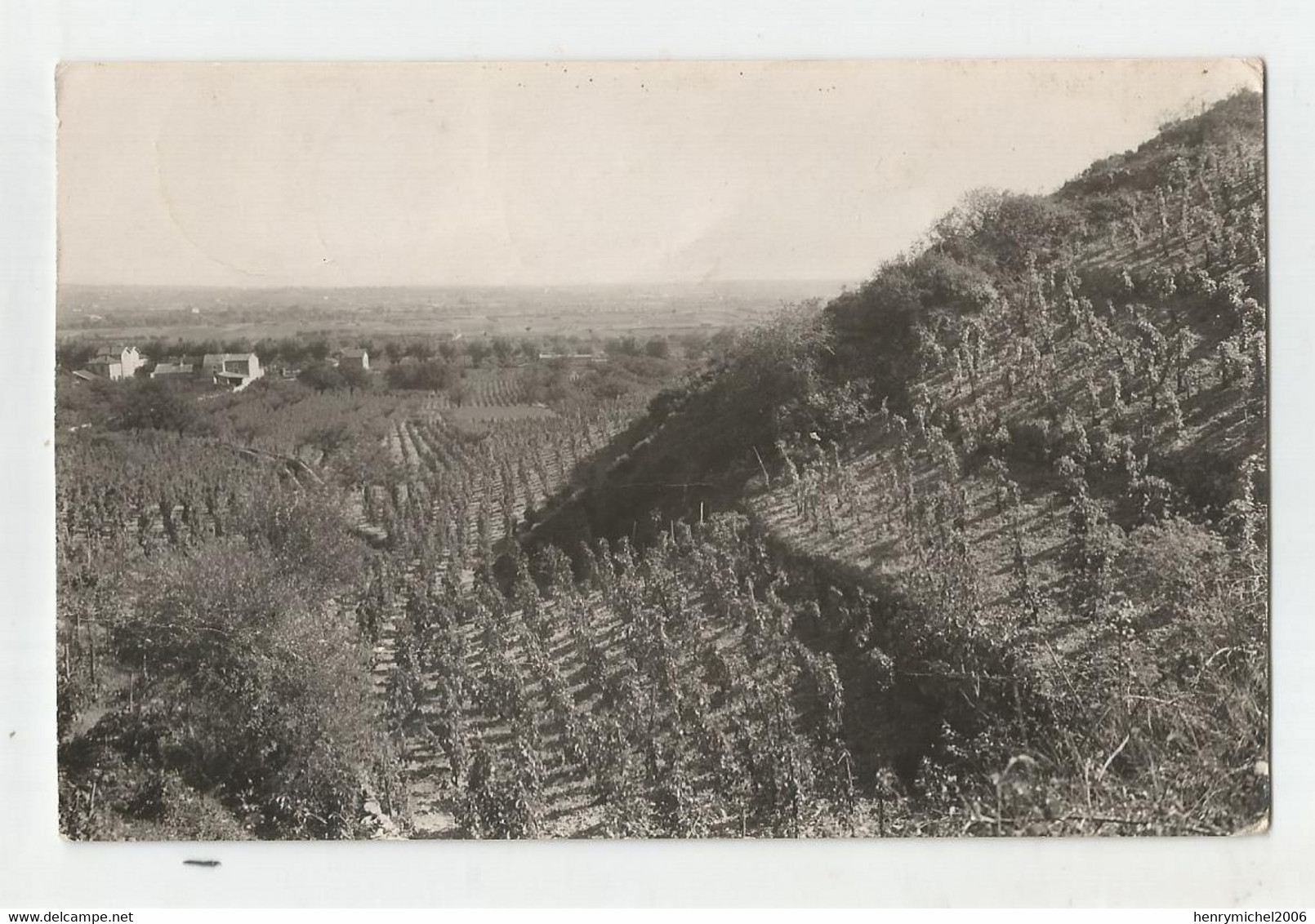 07 Ardèche Tournon Sur Rhone Les Vignobles De Cornas Vignes De Delas Pierre Cliché Photo Henri Pierre Verger - Tournon