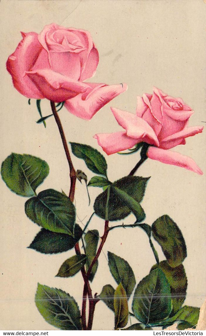 Fantaisie - Fleur - Rose - Carte Postale Ancienne - Autres & Non Classés