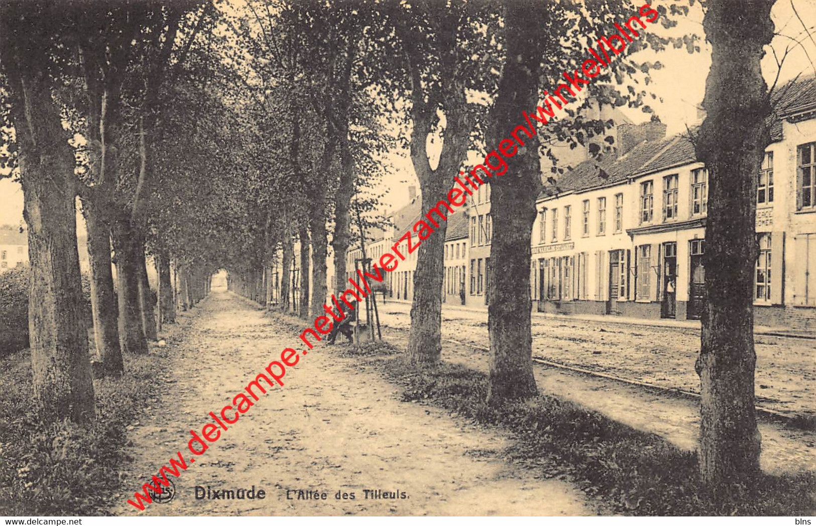 Dixmude - L'Allée Des Tilleuls - Diksmuide - Diksmuide