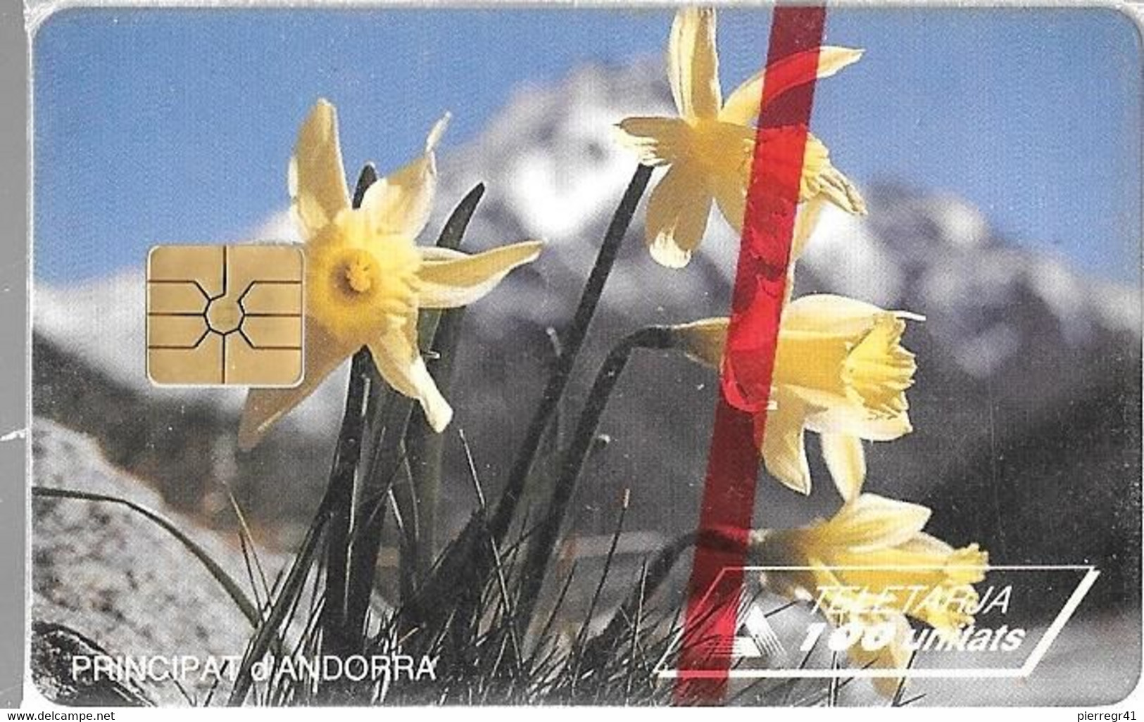 CARTE-PUCE-ANDORRE-100U-AND26-GEMB-Sans 2é Logo--06/95-NARCISSES JAUNES-N° Série 528558-NSB-TBE - Andorre