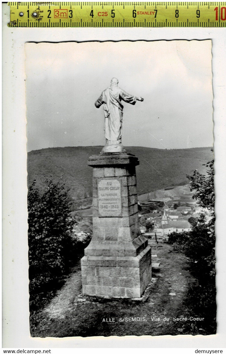 65740 -  ALLE S SEMOIS VUE DU SACRE COEUR - Vresse-sur-Semois