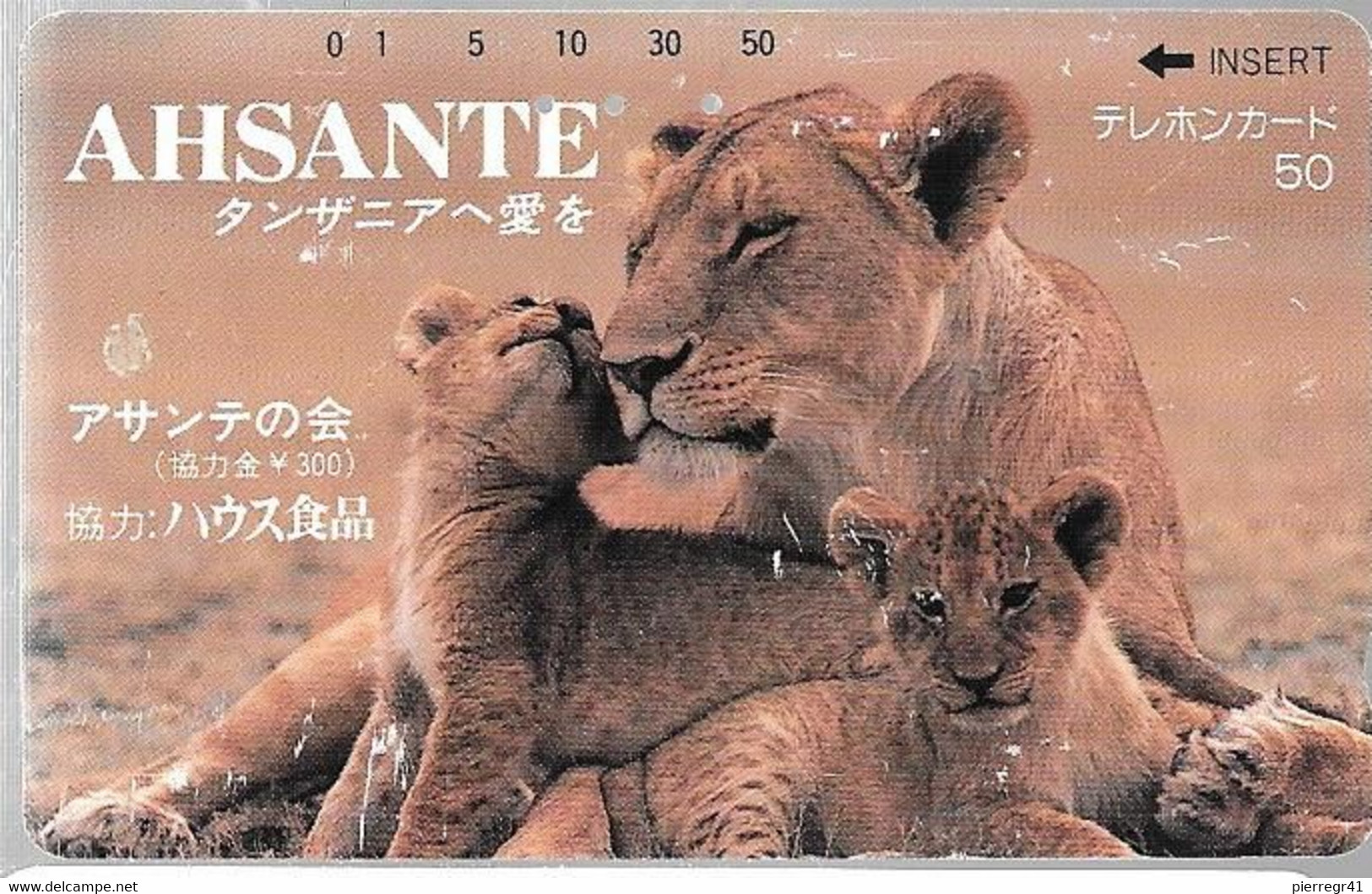 CARTE-MAGNETIQUE-JAPON-1991-LIONNE Et Ses LIONCEAUX-BE - Jungle