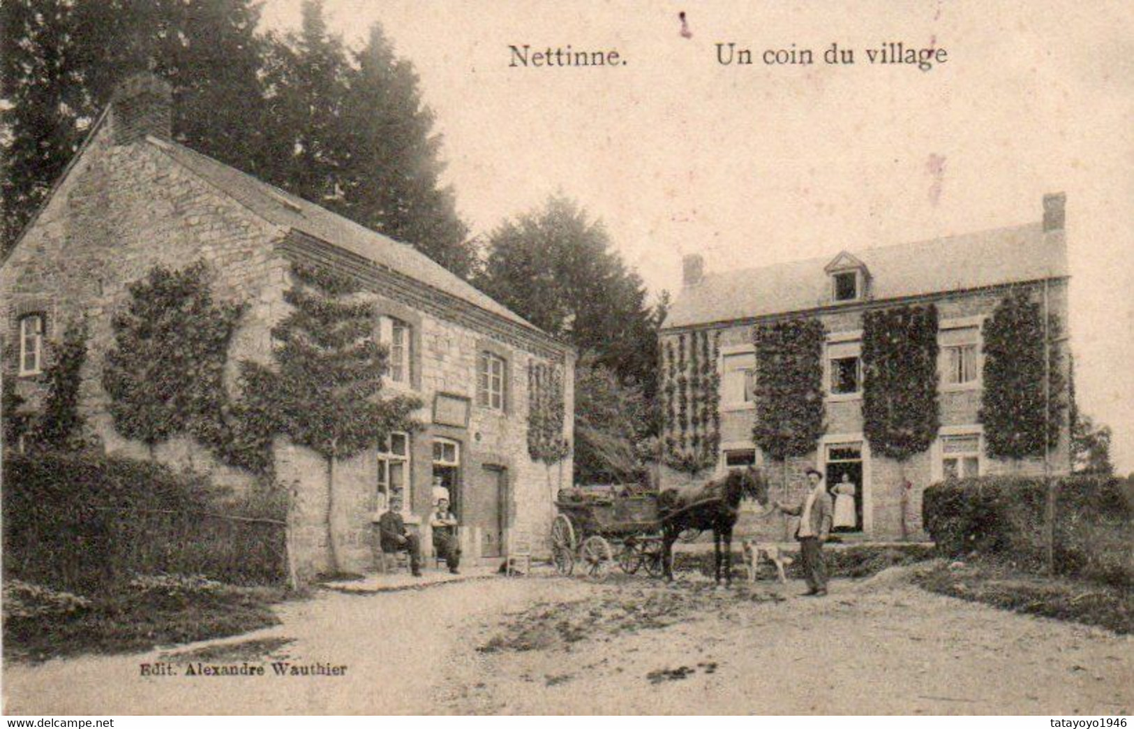 Nettinne   Un Coin Du Village Attelage Bien Animée Avec Griffe Haversin +voyagé En 1910 - Somme-Leuze