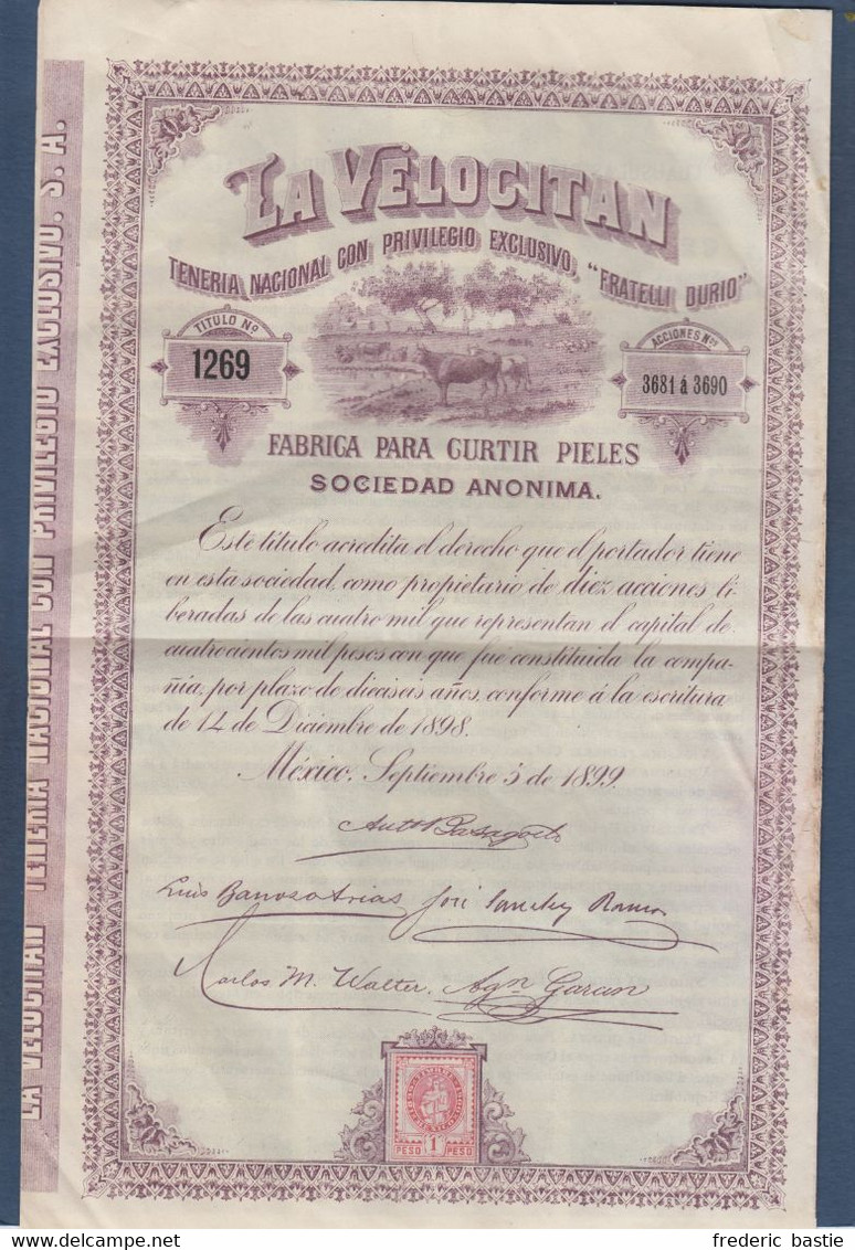 MEXICO - La Velocitan - Teneria National  ... 1899 - Landwirtschaft