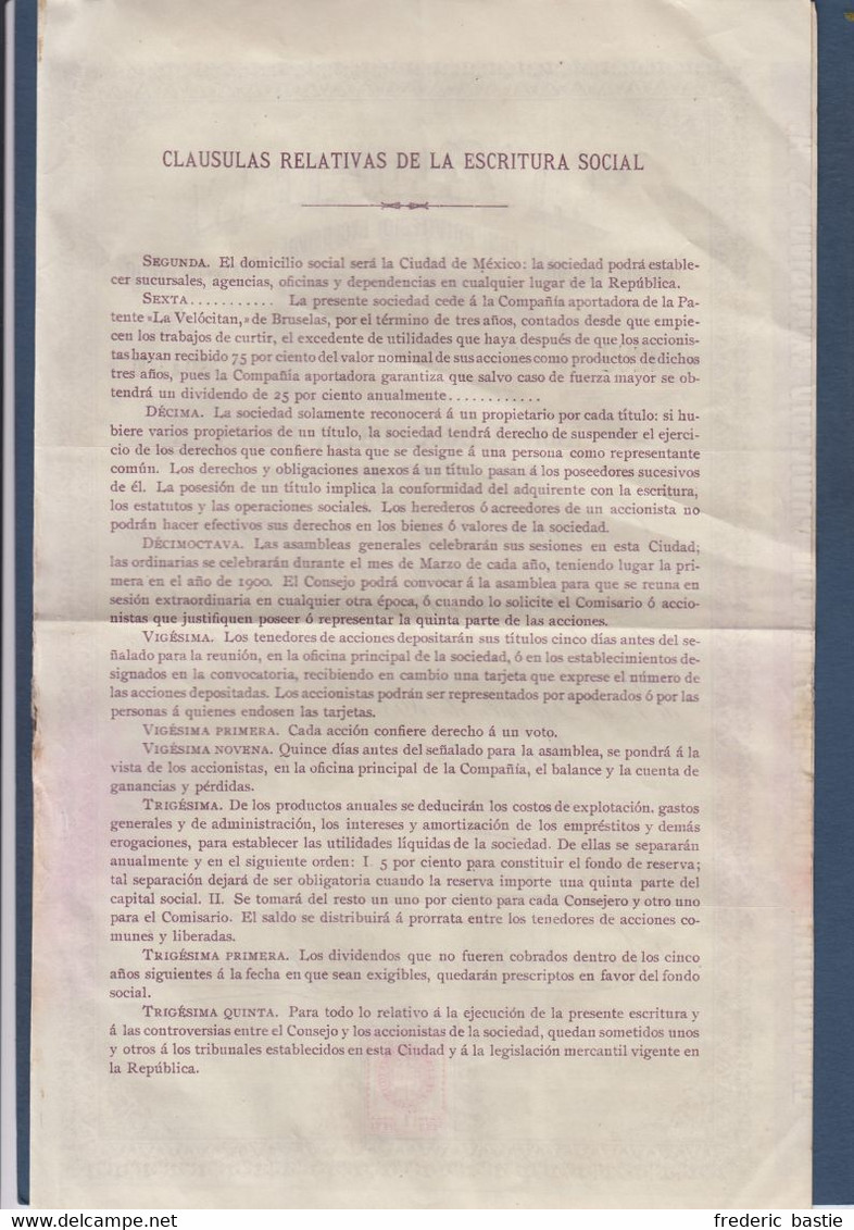 MEXICO - La Velocitan - Teneria National  ... 1899 - Landbouw