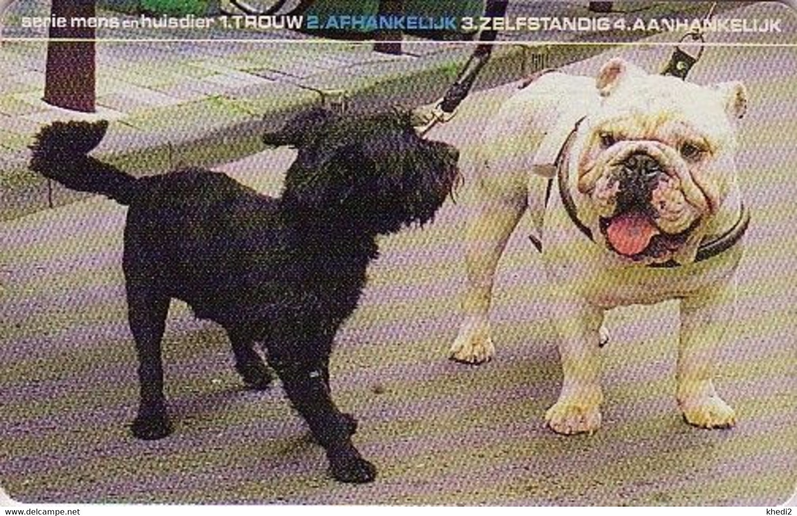 Télécarte à Puce Pays Bas - Animal - CHIEN BOULEDOGUE - BULLDOG DOG Netherlands Chip Phonecard - 1206 - Dogs